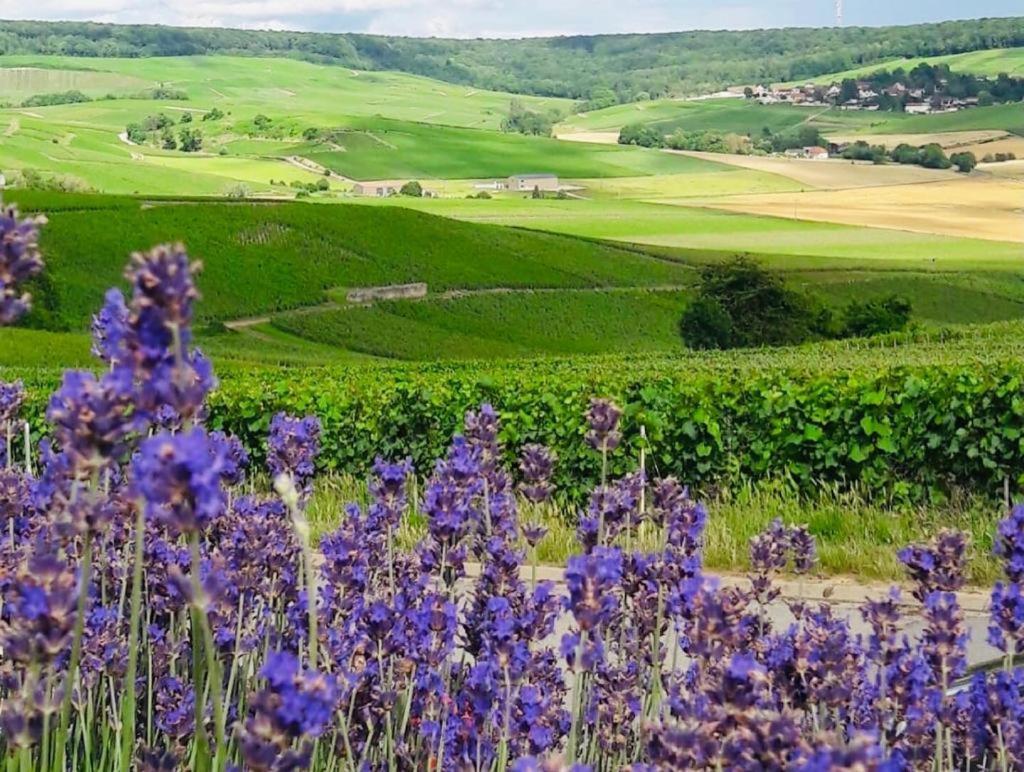 הוילה Fleury-la-Riviere Floressens En Champagne Terrasse Privative Sur Le Vignoble מראה חיצוני תמונה